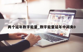 两个延年数字能量_数字能量延年中间夹 0