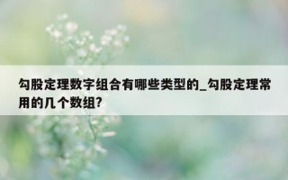 勾股定理数字组合有哪些类型的_勾股定理常用的几个数组?