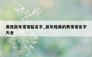 吴姓鼠年宝宝起名字_鼠年姓吴的男宝宝名字大全