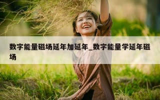 数字能量磁场延年加延年_数字能量学延年磁场