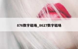 876 数字磁场_8627 数字磁场