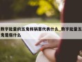 数字能量的五鬼和祸害代表什么_数字能量五鬼是指什么