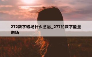 272 数字磁场什么意思_277 的数字能量磁场