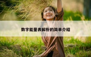 数字能量表解析的简单介绍