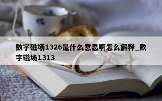 数字磁场 1326 是什么意思啊怎么解释_数字磁场 1313