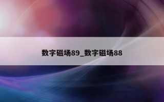 数字磁场89_数字磁场88