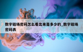 数字磁场密码怎么看出来是多少的_数字磁场密码表