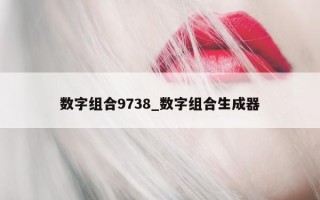 数字组合9738_数字组合生成器