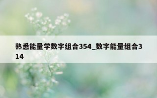 熟悉能量学数字组合354_数字能量组合314