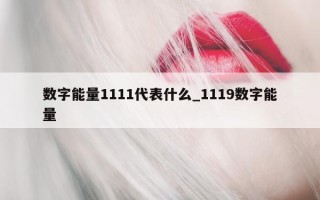 数字能量 1111 代表什么_1119 数字能量