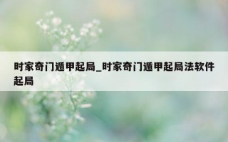 时家奇门遁甲起局_时家奇门遁甲起局法软件起局