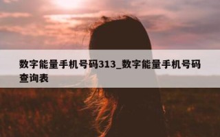 数字能量手机号码 313_数字能量手机号码查询表