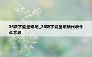 36 数字能量磁场_36 数字能量磁场代表什么意思