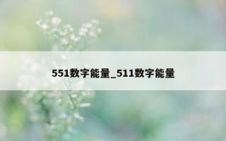 551 数字能量_511 数字能量