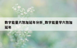 数字能量六煞加延年分折_数字能量学六煞加延年