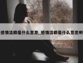 感情洁癖是什么意思_感情洁癖是什么意思啊