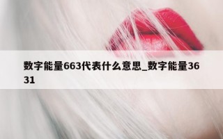 数字能量 663 代表什么意思_数字能量 3631