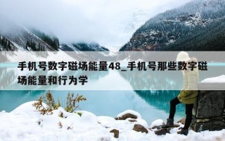 手机号数字磁场能量48_手机号那些数字磁场能量和行为学