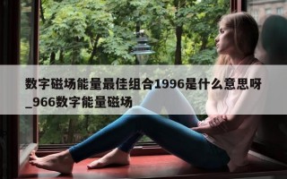 数字磁场能量最佳组合 1996 是什么意思呀_966 数字能量磁场