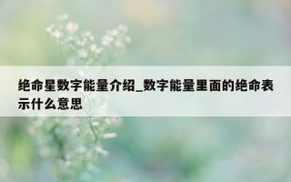 绝命星数字能量介绍_数字能量里面的绝命表示什么意思