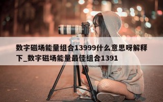 数字磁场能量组合 13999 什么意思呀解释下_数字磁场能量最佳组合 1391