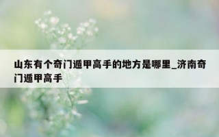 山东有个奇门遁甲高手的地方是哪里_济南奇门遁甲高手