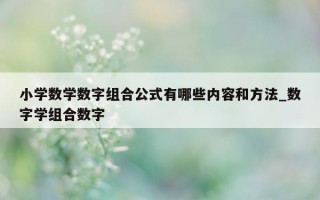 小学数学数字组合公式有哪些内容和方法_数字学组合数字