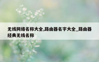 无线网络名称大全, 路由器名字大全_路由器经典无线名称