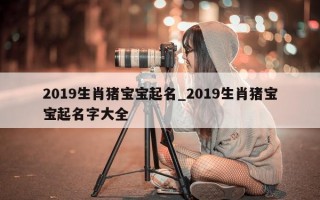 2019生肖猪宝宝起名_2019生肖猪宝宝起名字大全