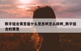 数字组合寓意是什么意思啊怎么读啊_数字组合的寓意