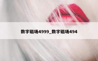 数字磁场 4999_数字磁场 494