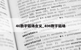 46 数字磁场含义_496 数字磁场