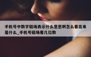 手机号中数字磁场表示什么意思啊怎么看出来是什么_手机号磁场看几位数