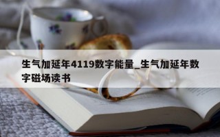 生气加延年 4119 数字能量_生气加延年数字磁场读书