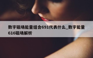 数字磁场能量组合 691 代表什么_数字能量 616 磁场解析