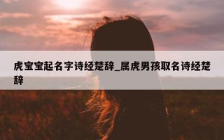 虎宝宝起名字诗经楚辞_属虎男孩取名诗经楚辞