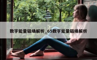 数字能量磁场解析_65 数字能量磁场解析