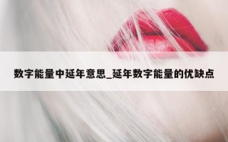 数字能量中延年意思_延年数字能量的优缺点