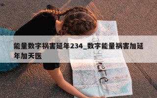 能量数字祸害延年 234_数字能量祸害加延年加天医