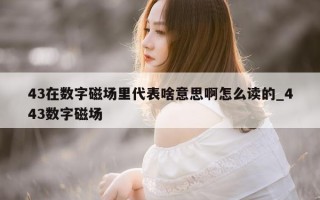 43 在数字磁场里代表啥意思啊怎么读的_443 数字磁场