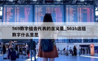 569 数字组合代表的含义是_5616 这组数字什么意思