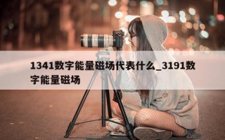 1341 数字能量磁场代表什么_3191 数字能量磁场