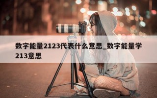 数字能量 2123 代表什么意思_数字能量学 213 意思