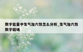 数字能量中生气加六煞怎么分析_生气加六煞数字磁场