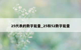 25代表的数字能量_25和52数字能量