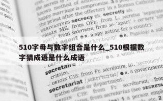 510 字母与数字组合是什么_510 根据数字猜成语是什么成语