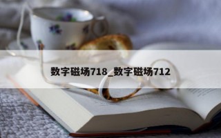 数字磁场 718_数字磁场 712