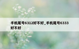 手机尾号 6312 好不好_手机尾号 6333 好不好