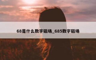 68是什么数字磁场_685数字磁场