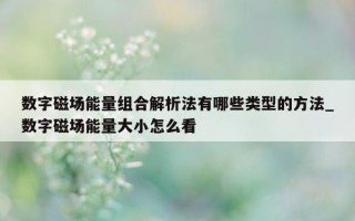 数字磁场能量组合解析法有哪些类型的方法_数字磁场能量大小怎么看